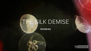 The Silk Demise: Laniakea