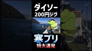 【ミニボート釣行】ダイソー200円ジグで大型の寒ブリ連発！