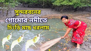 সুন্দরবনের গোমোর নদী থেকে চিংড়ি মাছ ধরলাম।। bhaswati Sundarban Life # Sundarban fishing # river #