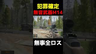 無音武器M14は普通に犯罪です【アリーナブレイクアウト/タルコフモバイル】#arenabreakout