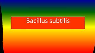 BACILLUS SUBTILIS