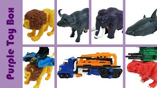 Carbot Animal Transformer And Combination Robot Toys 헬로카봇 옴파로스 섬의 비밀 모음