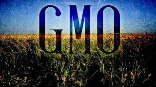 GMOs Are Destroying Our Food Security (and Heirloom Seed Treasures)