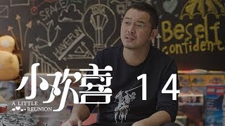 小歡喜 14 | A Little Reunion 14（黃磊、海清、陶虹等主演）