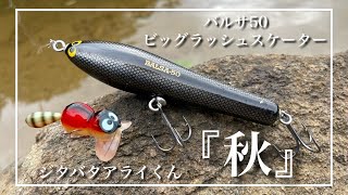 【秋のバス釣り】トップウォーターでランガンパニック！広範囲に散ってしまった魚たちを探せる釣り。バルサ50 ビッグラッシュスケーター　ザウルス　ペンシルベイト　ズイール　ジタバタアライくん レベルバイブ