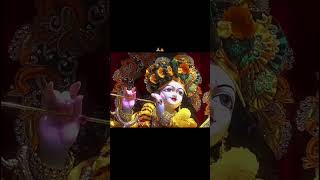 l श्री राधे राधे l 🙏🌺🦚#shorts #shortsvideo #trendingshorts #viralvideo #radheradhe #krishna