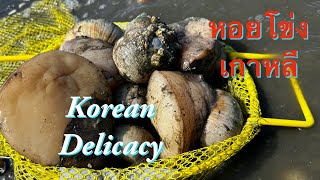 Moon Snail Cooking หอยโข่ง