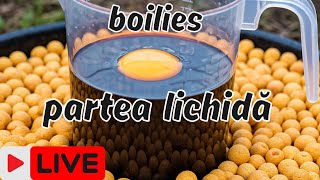 Everything about the Liquid Part of a Boilie! LIVE!