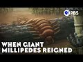 When Giant Millipedes Reigned