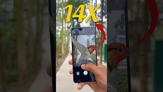 Realme 14X 5G Camera Test 📸 #youtubeshorts #realme14x