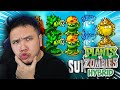 AUR AURAN KEMBALI - Plants vs Zombies Hybrid #2