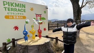 レオくんがおでかけ！ピクミンテラス in 宮島SA！ Part116 トイキッズ