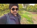 hanan vlogs oranges garden dina jhelum