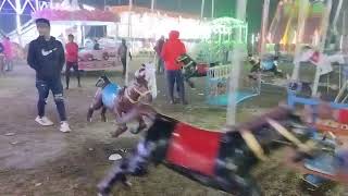 Rash Mela 2k 23 Tardaha