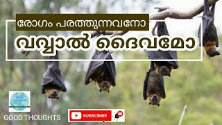 വവ്വാൽ ദൈവമോ | Bat gods | Buvaneswar | Kabathabanth | Malayalam | GOOD THOUGHTS