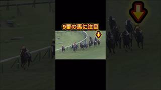 阪神カップで気になる馬を見つけました！#競馬 #競馬予想 #阪神カップ#有馬記念#有馬記念2023