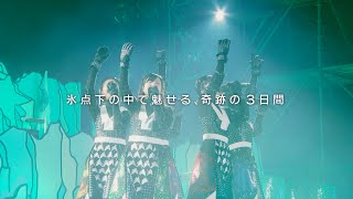 TRAILER - ももいろクローバーZ「ももいろクリスマス2015 ～Beautiful Survivors～」LIVE Blu-ray \u0026 DVD