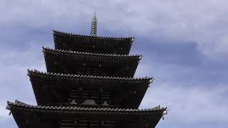 法隆寺（奈良県生駒郡斑鳩町法隆寺）