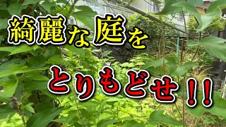 【草刈り】荒れた庭を綺麗にする！【剪定】