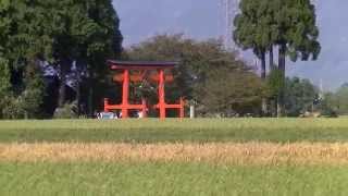 Tsunou Shrine,Cycling, Imazu, Takashima,津野神社,式内社,滋賀県高島市今津町散策017-02