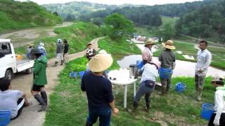 2日目ダイジェスト｜まつだい棚田バンク2012＜田植え＞