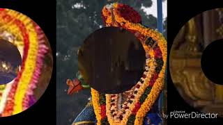 வெள்ளி மயில் துள்ளி வரும்    ( நல்லூர் முருகன் பாடல்) murugan god song