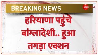 Breaking News: Haryana पहुंचे बांग्लादेशी...हुआ तगड़ा एक्शन | Illegal Bangladeshi Arrested | Nuh