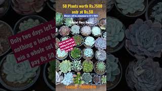 50 plants at just Rs.50