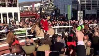 Faugheen the machine