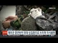 예비군 훈련받던 20대 심질환으로 쓰러져 의식불명 연합뉴스tv yonhapnewstv