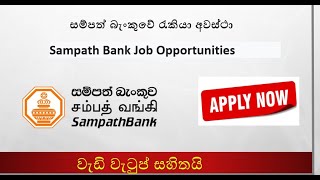 සම්පත් බැංකුවේ රැකියා අවස්ථා | Sampath Bank Job Opportunities