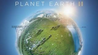 Hans Zimmer - Planet Earth II Suite