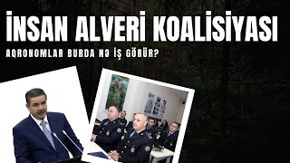 Polisin \