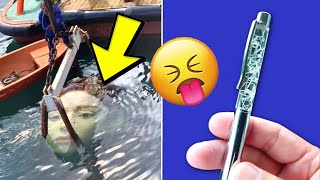 COISAS CURIOSAS QUE VOCÊ NÃO SABIA! #24