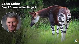 WCN Fall Expo 2017 - Okapi Conservation Project- John Lukas