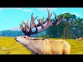 FIRST HUNT on New Zealand!  Chasing Monster Red Deer & More in Way of the Hunter!