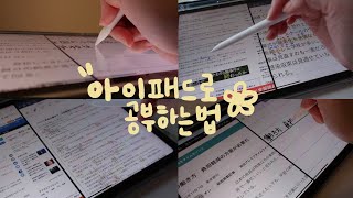 아이패드에어4 활용기 ㅣ내가 아이패드로 공부하는 방법 (일본어 공부하기)