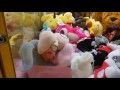 ace 夾娃娃 141 爽快夾出50連發 抽獎活動來了 截止了 claw machine クレーンゲーム