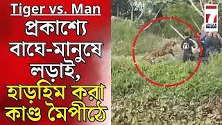 Tiger vs Human viral Video : বাঘে-মানুষে লড়াইয়ের হাড়হিম করা কান্ড মৈপীঠে, আক্রান্ত ১ বনকর্মী