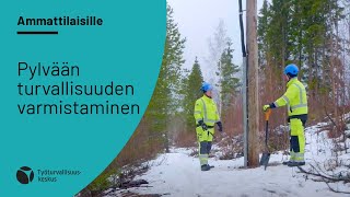 Pylvään turvallisuuden varmistaminen