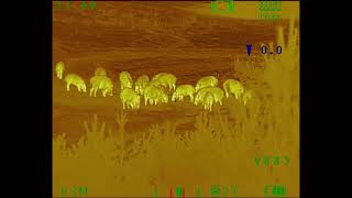 Archer Falcon 12micron lov divocak snih test tlumic