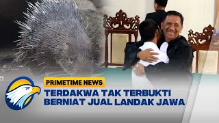 Terdakwa Pemelihara Landak Jawa Dituntut Bebas [Primetime News]