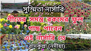 সুস্মিতা নার্সারি পরিদর্শন|🌹|শীতের সমস্ত রকমের ফুল গাছ পাবেন|🥰| ফুল গাছের সেরা ঠিকানা @helpfulgarden