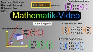 [TheNilsor] - Mathematik - EntwicklungsMatrix