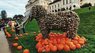 1100 Kg Pumpkin | Kürbisausstellung Ludwigsburg 2022 | World's Largest Pumpkin fest | Walking Tour