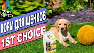 Корм для Щенков 1st Choice Puppy Chiot | Обзор корма для щенков | 1st Choice Puppy Toy  review