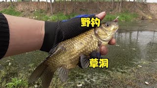 野钓：小河长满水草，传统钓天然草洞，大小鲫鱼口不断