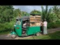 Choon Paan - Chun Pan | Sri Lanka Bread Rickshaw | චුන්පාන් ශ්‍රිලංකාව