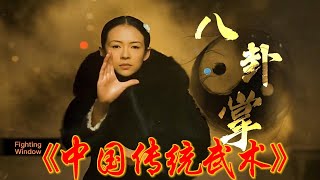 Baguazhang, Traditional Chinese Martial Arts中国传统武术之八卦掌#fighting,#movie,#中国功夫,#中国武术,#八卦,#章子怡