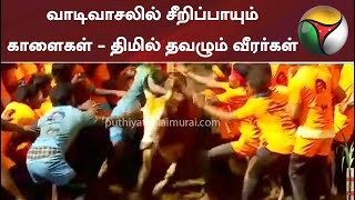 Alanganallur jallikattu 2022: வாடிவாசலில் சீறிப்பாயும் காளைகள் - திமில் தவழும் வீரர்கள்